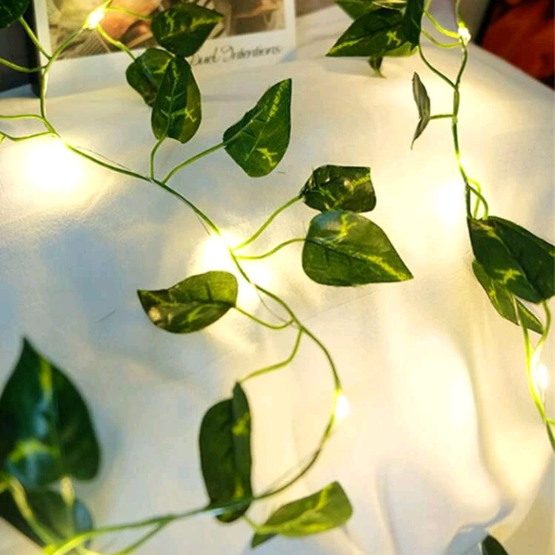 Leaf Design String Light